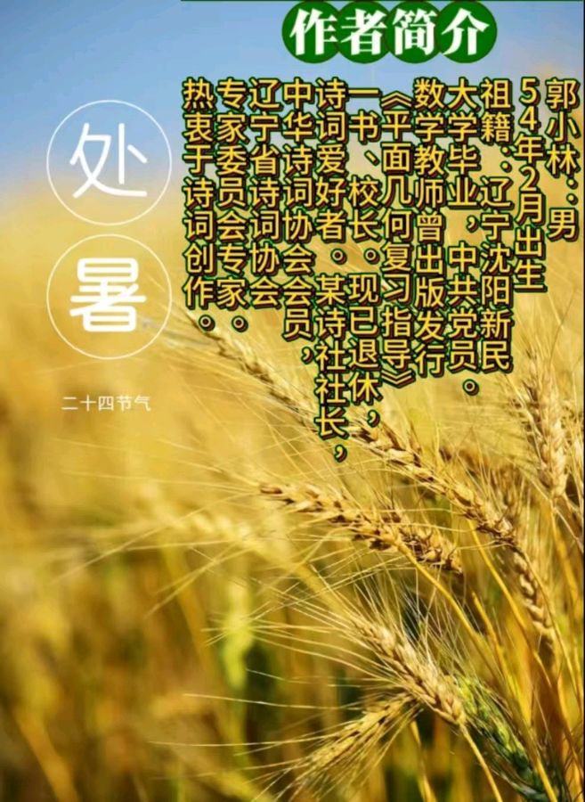 《现代诗人古诗新作》作者:郭小林 [中国现代诗歌文化传媒]（图7）