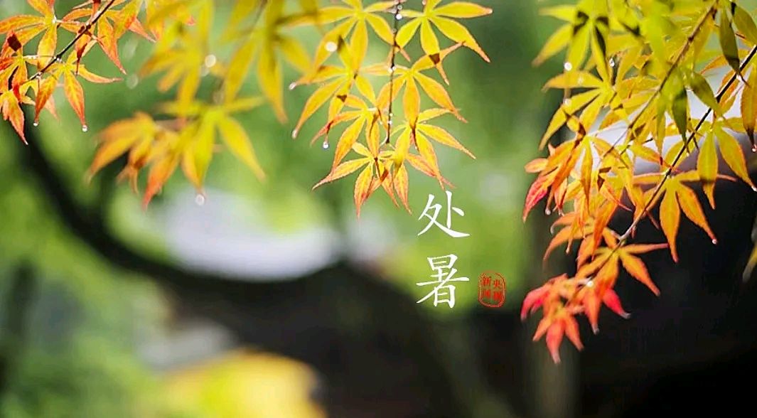 石家庄市藁城区诗词协会第五十三期同题诗《处暑》（图5）