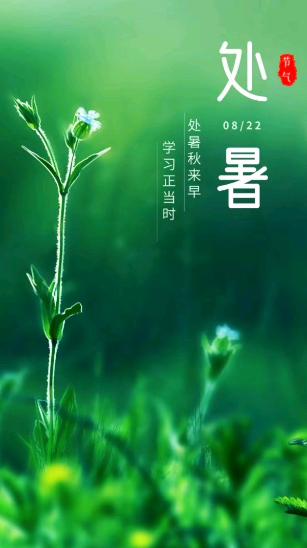 七律-甲辰处暑～诗||杨景儒（图8）