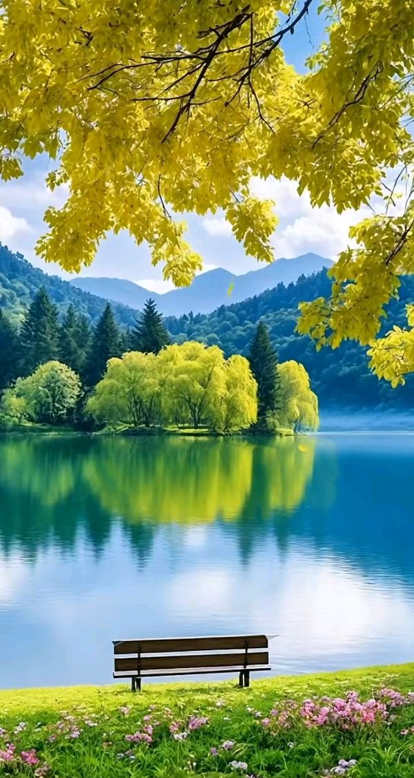 七律-甲辰处暑～诗||杨景儒（图15）