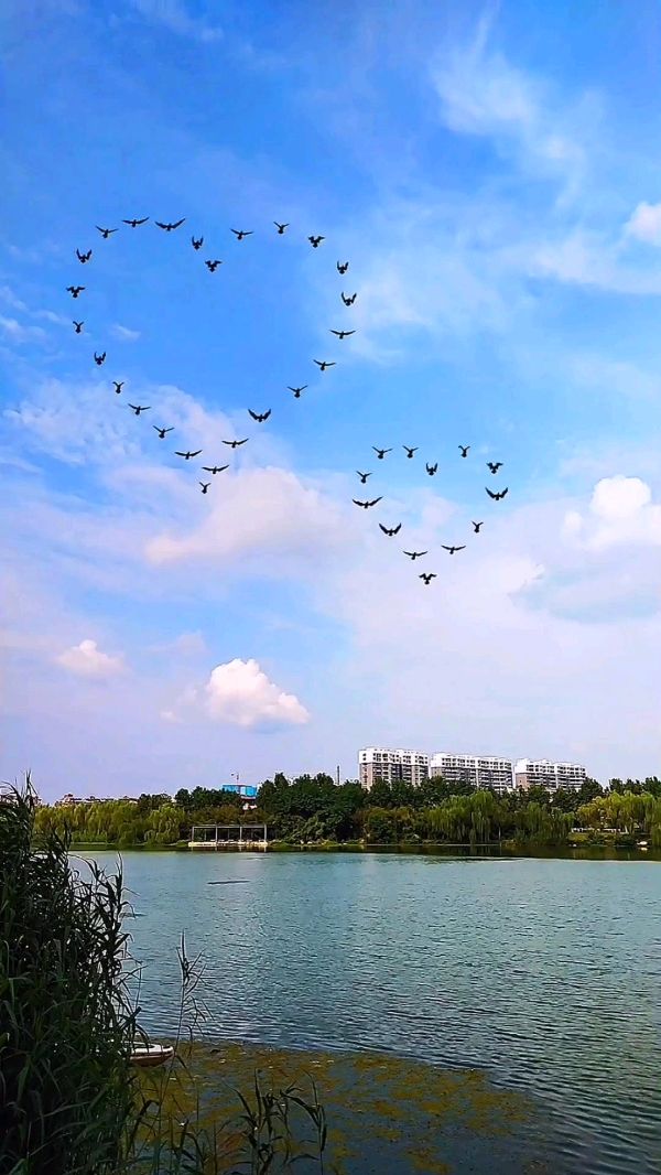 七绝-处暑吟怀～诗||胡斌（桃花园君）（图14）