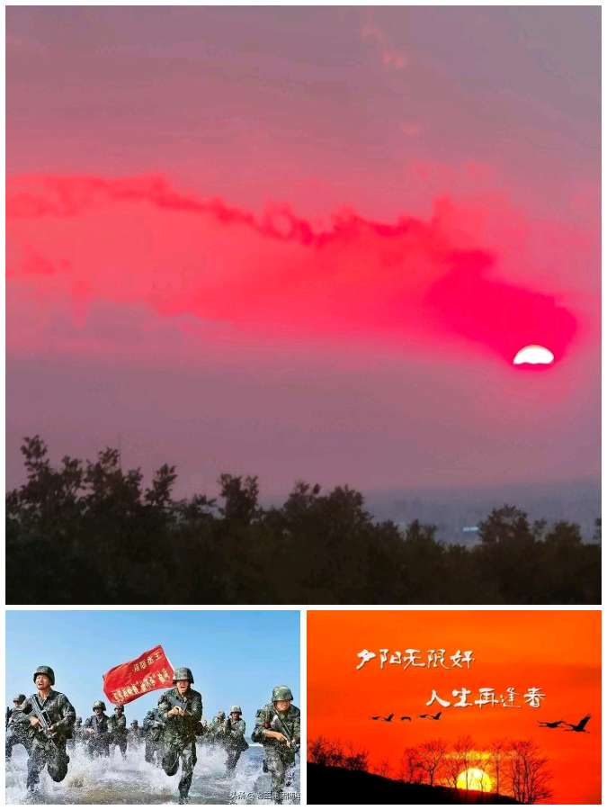【重磅推出】鲁坡//约朋醉赏夕阳红[秋韵系列作品展]（图3）