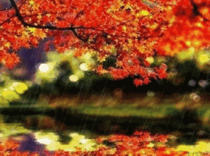 七律 秋雨吟（平水韵）王忠森 （ 江 西 ）（图3）