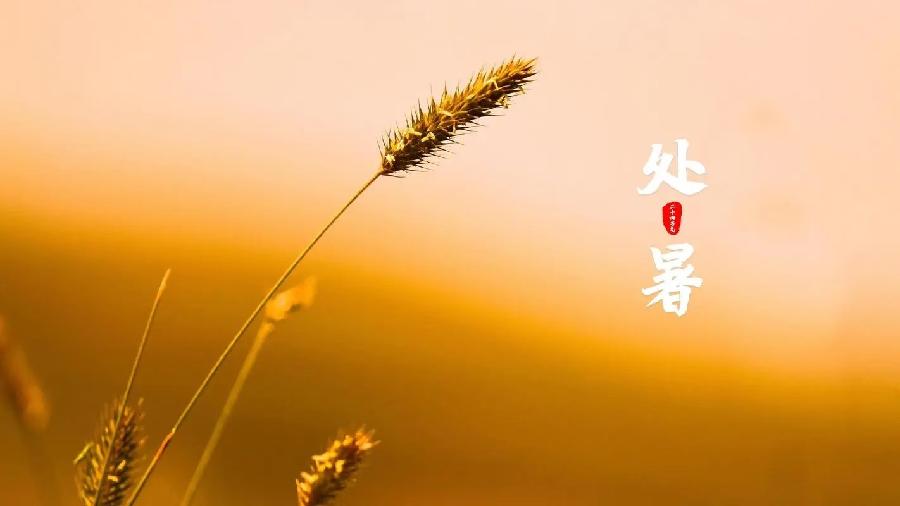 ［甲辰处暑诗词专辑］作者：许碧霞/冯清明/张华兴/方立新……莲叶之珠文学社（图4）