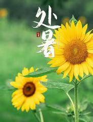 ［甲辰处暑诗词专辑］作者：许碧霞/冯清明/张华兴/方立新……莲叶之珠文学社（图6）