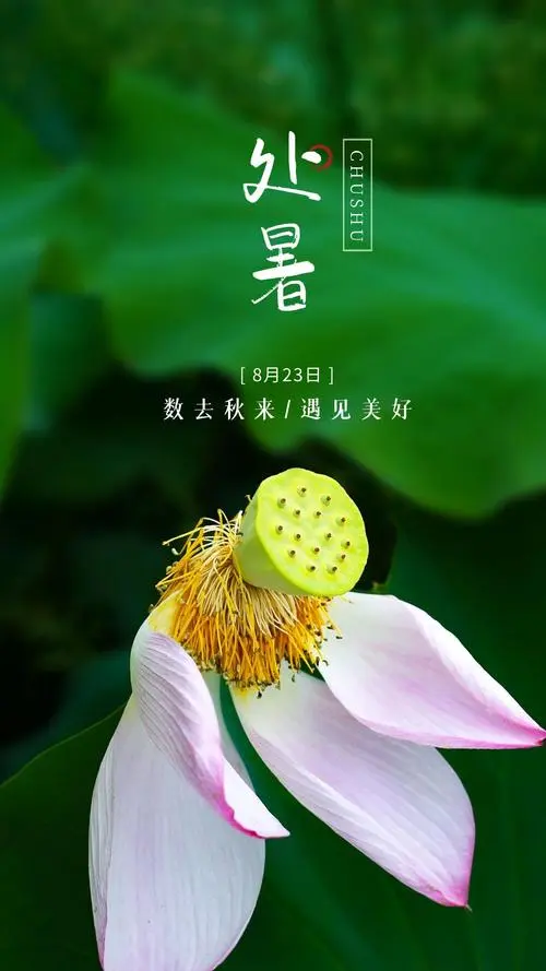 东方书剑的《山花子·处暑野望》