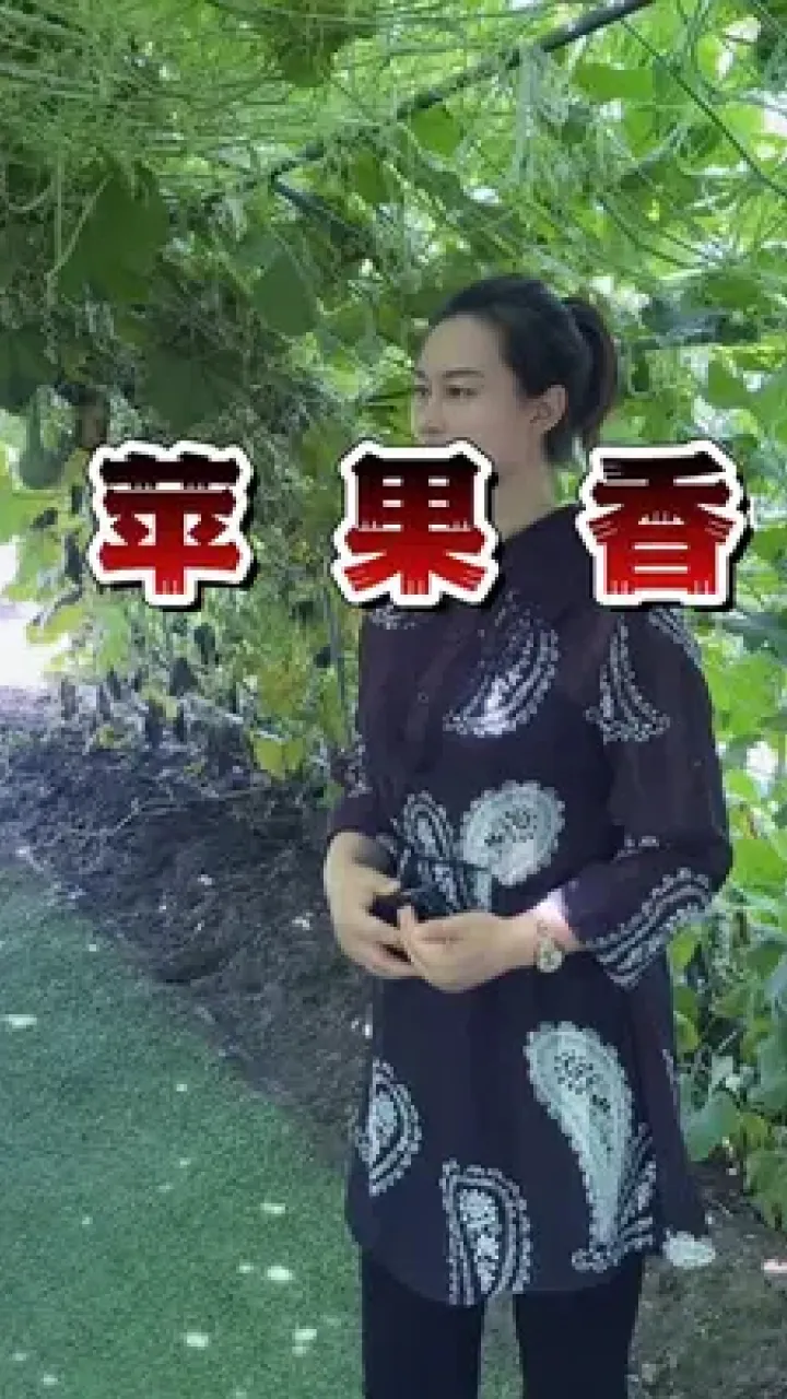 【新山东文学社】《苹果香,醉在游子的心房》作者/张秀祥 主播/鲁怡秀凤(图3)