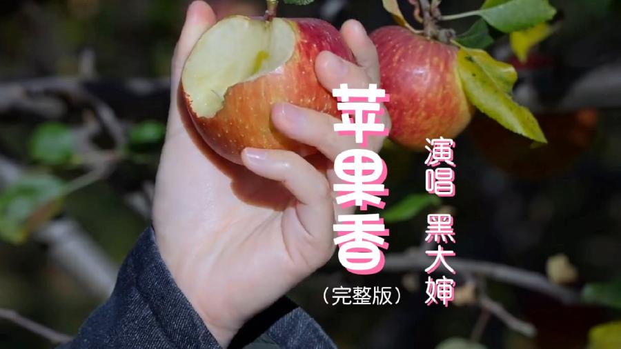 【新山东文学社】《苹果香,醉在游子的心房》作者/张秀祥 主播/鲁怡秀凤(图5)