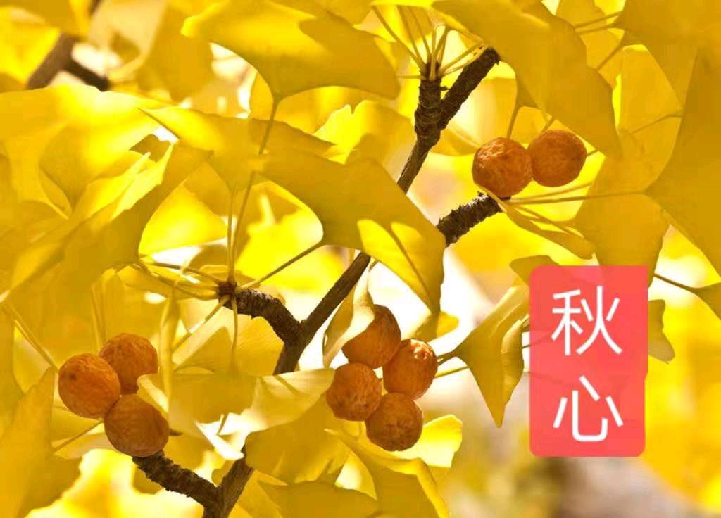 《现代诗人李华古诗新品》作者:龙游天下 [中国现代诗歌文化传媒]（图6）