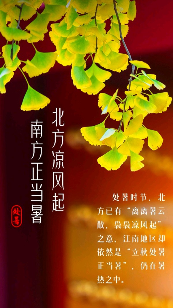 七律-处暑～诗||旗袍（图8）