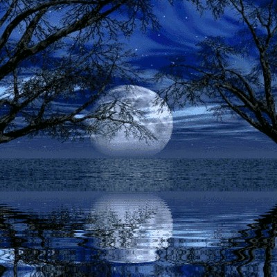自由体《秋夜》文/杨子钦（图3）
