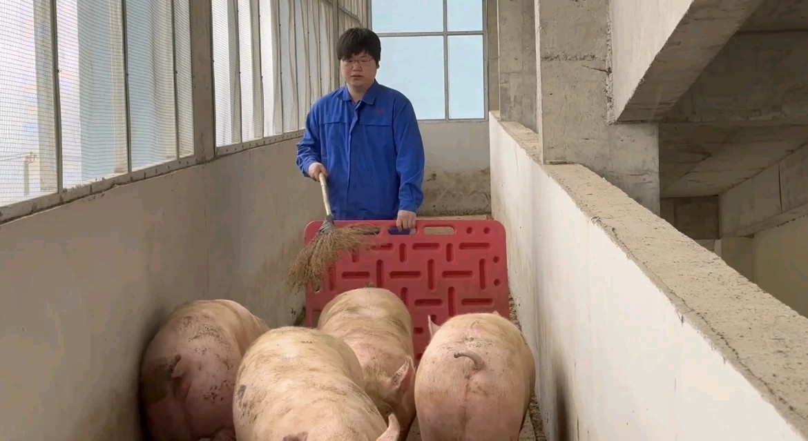 《猪倌外交官》/作者:书乐(图3)