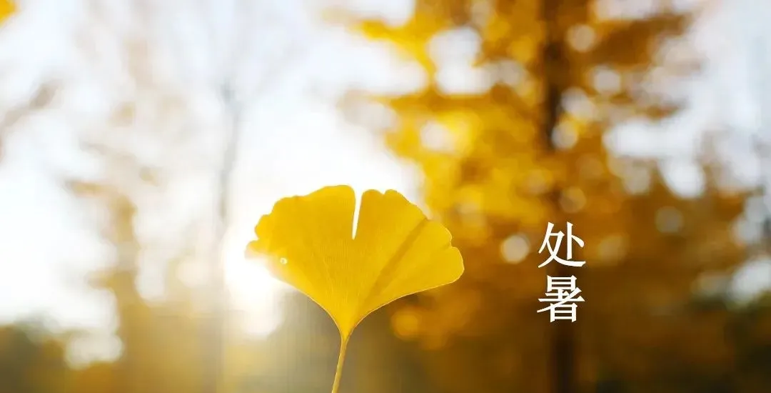 ……处暑时节，诗四首…… 文/王铁忠（图3）
