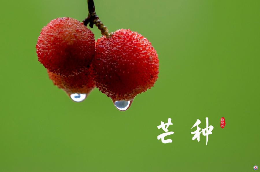 【国风燕赵诗社】优秀诗人亢仁才老师个人专辑与您共享！（二）（图18）