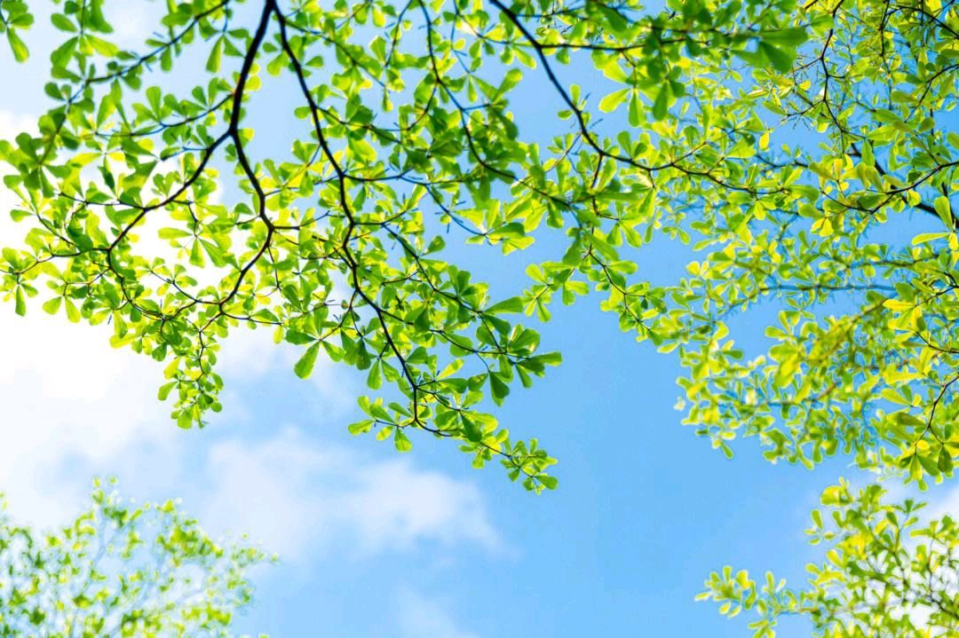 聆听 ‖ 田洁朗诵《散文诗*我爱你，中国》作者/祥阳（图9）