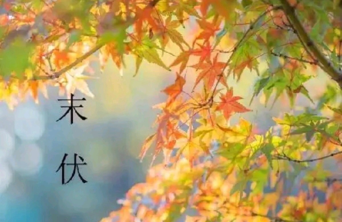 【明心文学】旷野牧童/2024年八月节庆 主播/张兆维（图5）