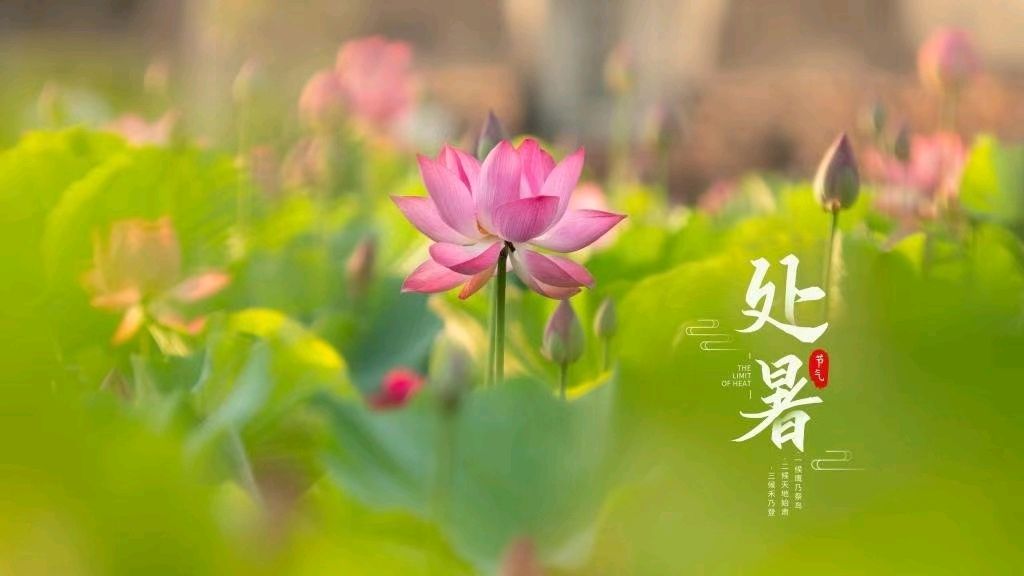 【明心文学】水川||秋天秋韵组诗·之三 主播||舒心快乐(图4)