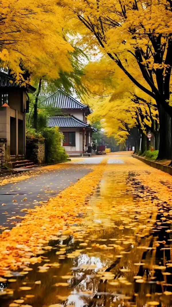 秋叶 | 六月牛