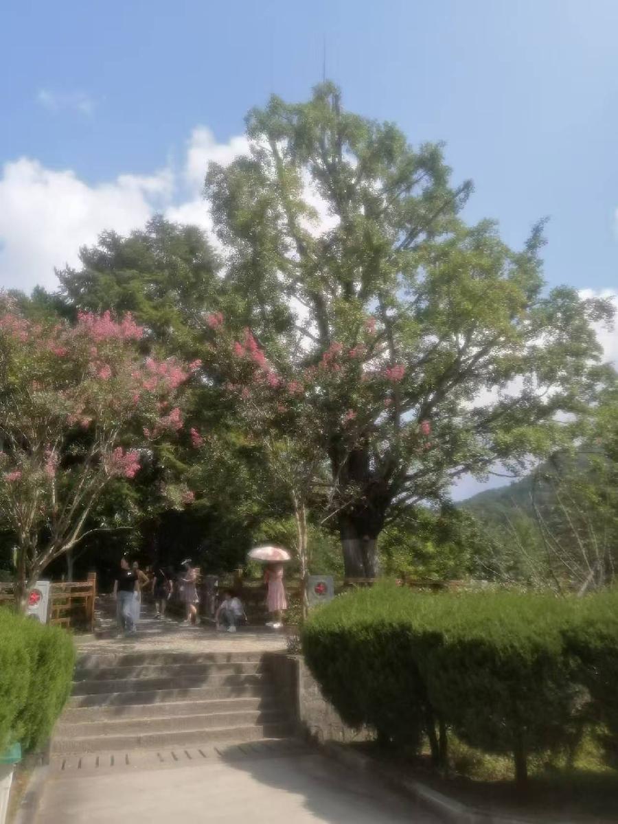【中华好诗词】分享（湖北）优秀诗人蔡学伦老师《初秋游桃花溪》请欣赏（图11）