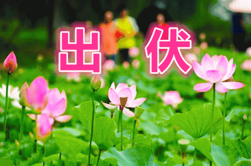 【名家风采】《孟秋抒怀》//作者:蒲公英//《诗在路上》征稿//都市头条（图3）