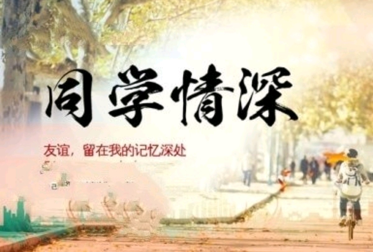 【明心文学】申力/难忘同窗情 主播/薇薇(图4)