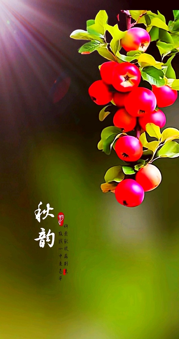 七律-秋韵～诗||雅轩琴韵（图8）