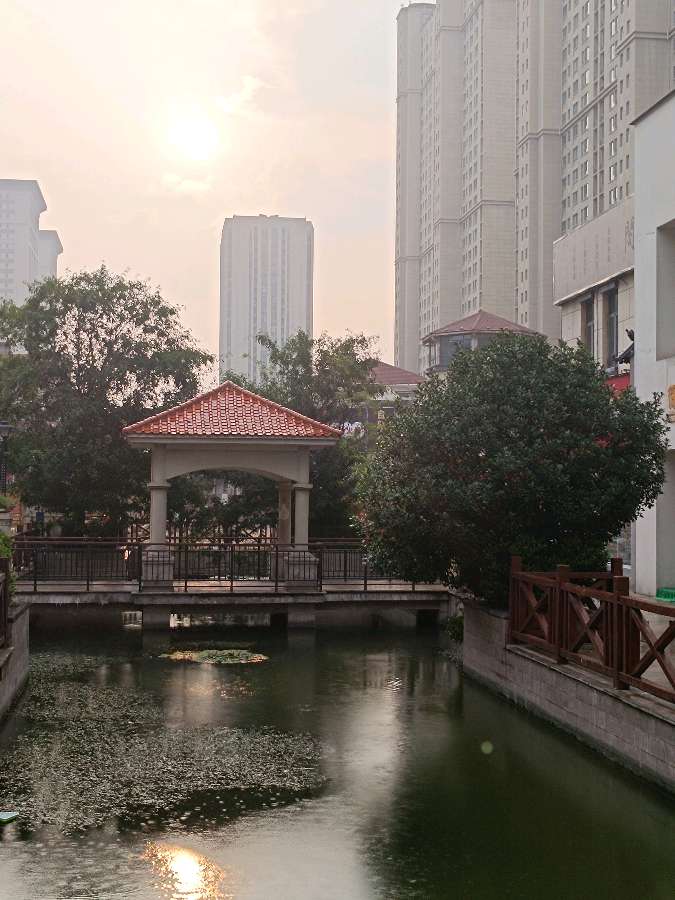 秋晨晴雨图 原作/梁立锋