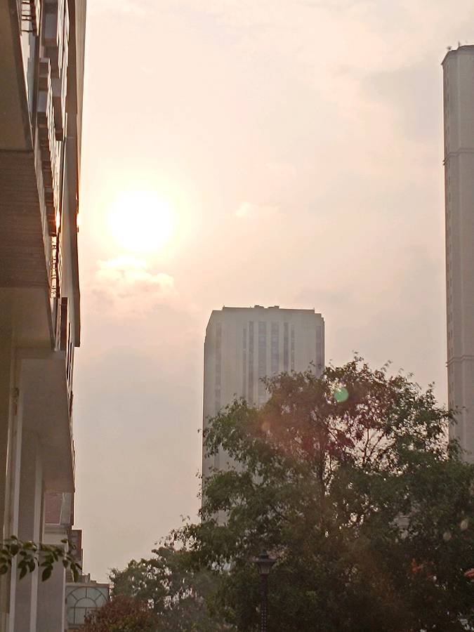 秋晨晴雨图 原作/梁立锋（图3）