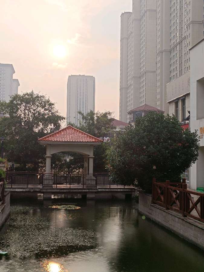 秋晨晴雨图 原作/梁立锋（图5）