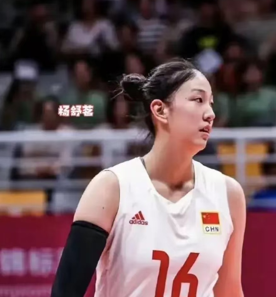 三元七绝诗~U17女排夺冠（附原八路诗）文/詹成（图3）