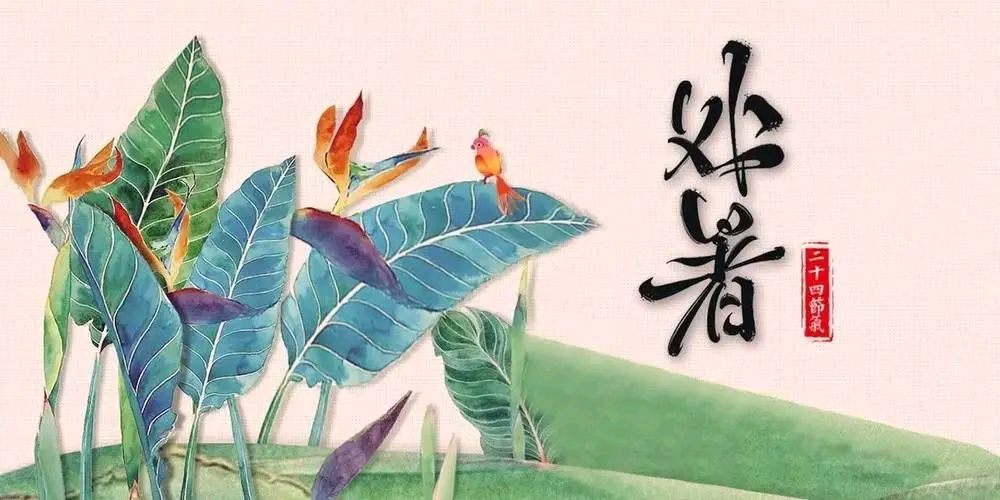 《处暑》作者/黄金鑫 诵读/瑞雪丰年 编辑/雨杉【花雨馨声】第685期（图2）