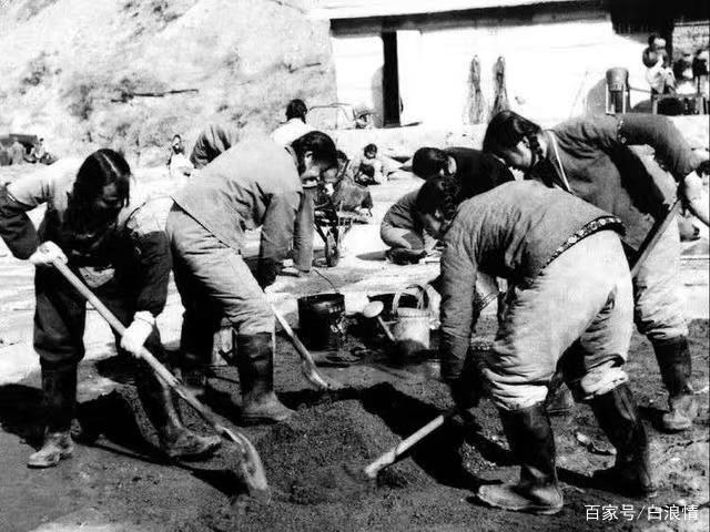 图片4 图片4