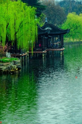 《人生十雅》文：乐乐翁【湖北总社】世界诗人名人展10134期（图11）
