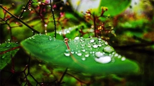 秋雨轻吟/作者：春华秋实（图4）