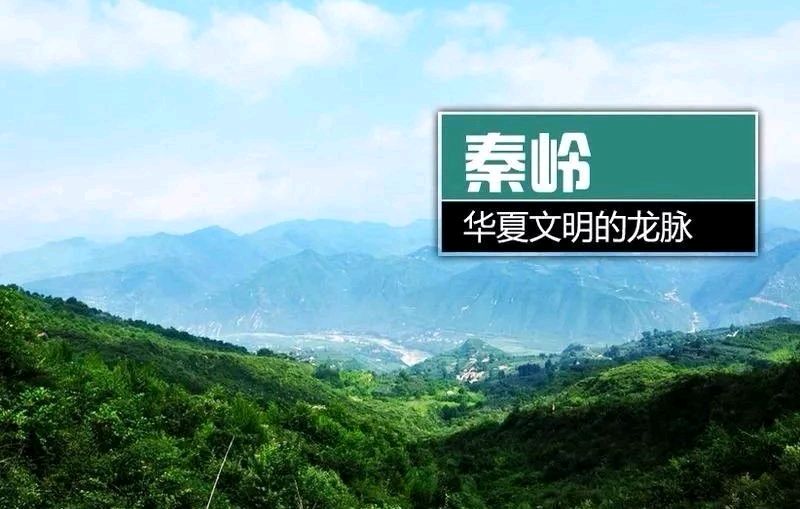 锦绣河山（组合/连载08）诗||王金廷（图15）