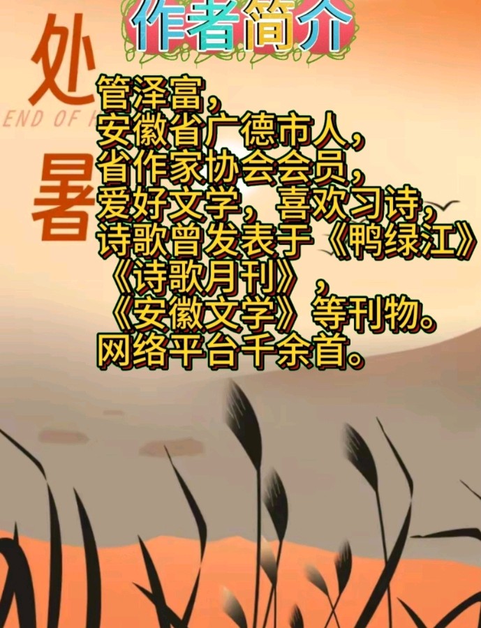 《我的眼睛没问题组诗》作者:管泽富 [中国现代诗歌文化传媒]（图16）