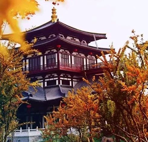 近在眼前（图2）