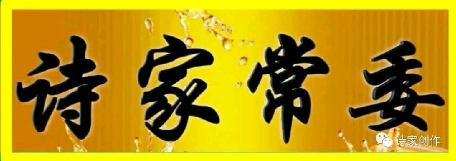 诗家创刊登鸿音女士作品主编杨松（图26）