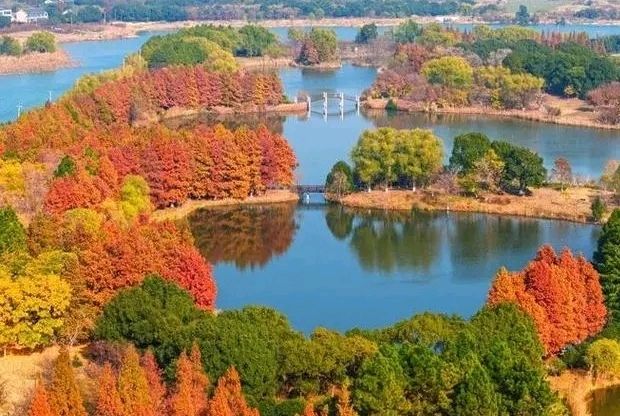 秋韵醉流年～诗||旗袍（图15）