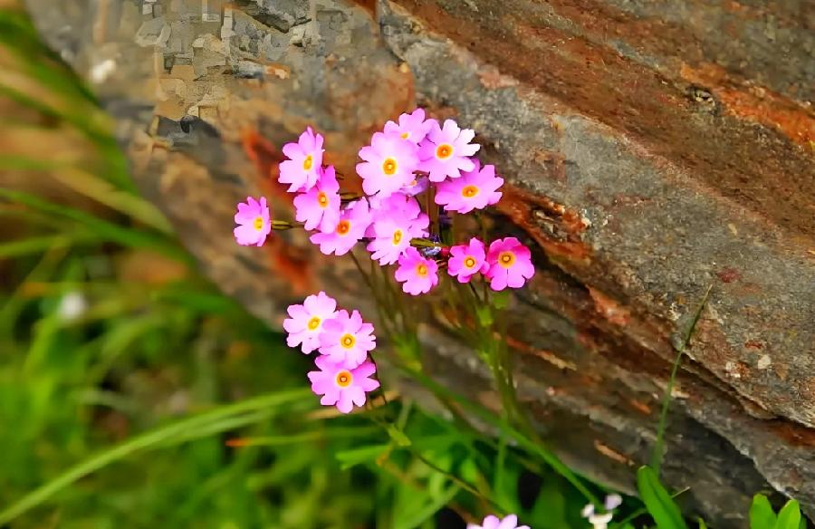 陨石 作者：汪志成 朗诵：老菩提（图5）