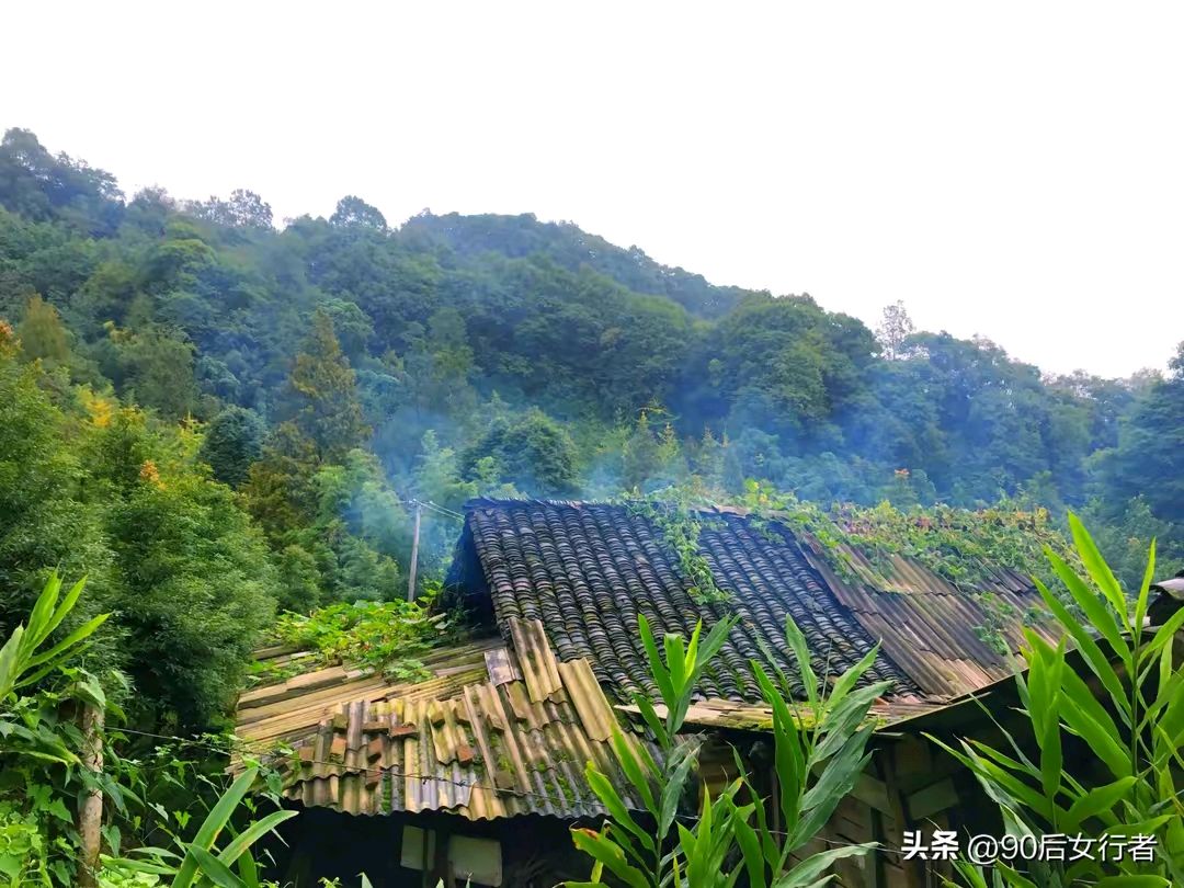 《我的眼睛没问题组诗》作者:管泽富 [中国现代诗歌文化传媒]（图8）