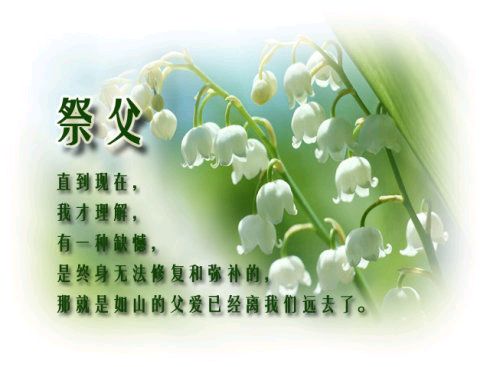 《现代诗人红蝴蝶诗词专集》作者:红蝴蝶 [中国现代诗歌文化传媒]（图7）