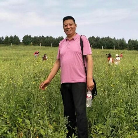 【今日好诗11】《风经过我的窗前》文/童华(四川成都)(图14)