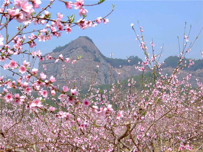 敬请欣赏韩铭忠老师组诗九首（图5）