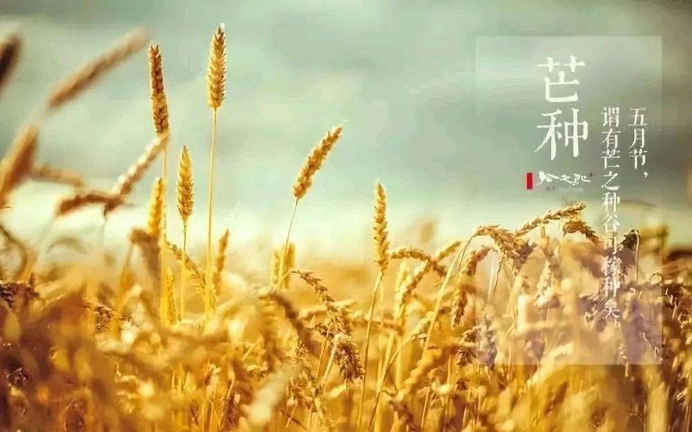 敬请欣赏韩铭忠老师组诗九首（图9）