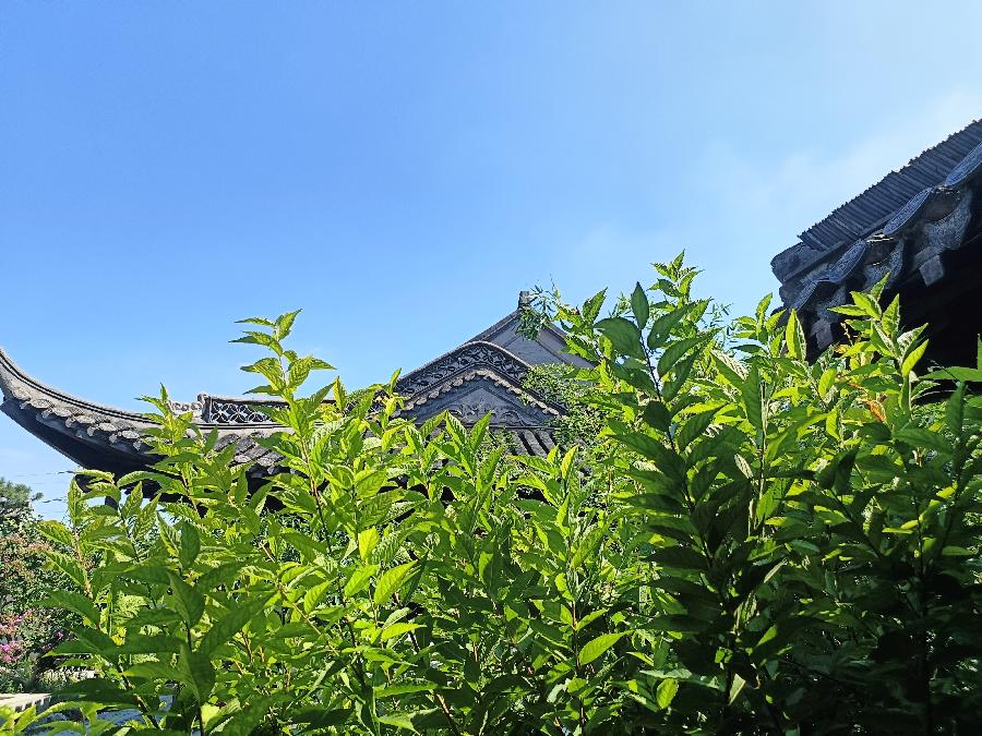 【九月茶韵文学诗社】2024——033期《情有多深》作者陈铠 主播 旭洋 编辑制作刘林丽（图2）