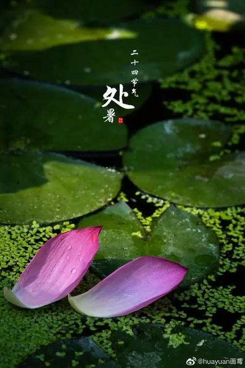 【国风燕赵诗社】杜绪亮老师格律诗词专辑与您共享！（一）（图12）