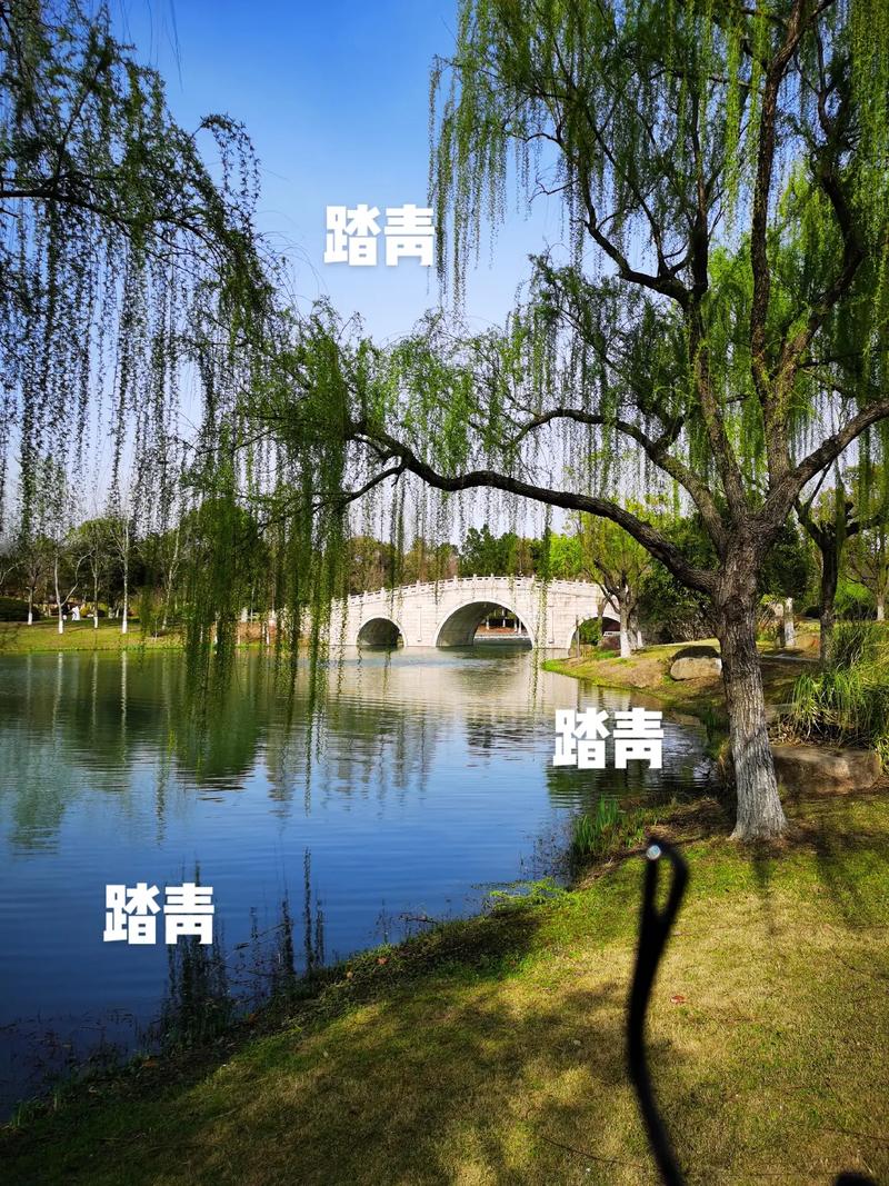 【国风燕赵诗社】杜绪亮老师格律诗词专辑与您共享！（一）（图22）
