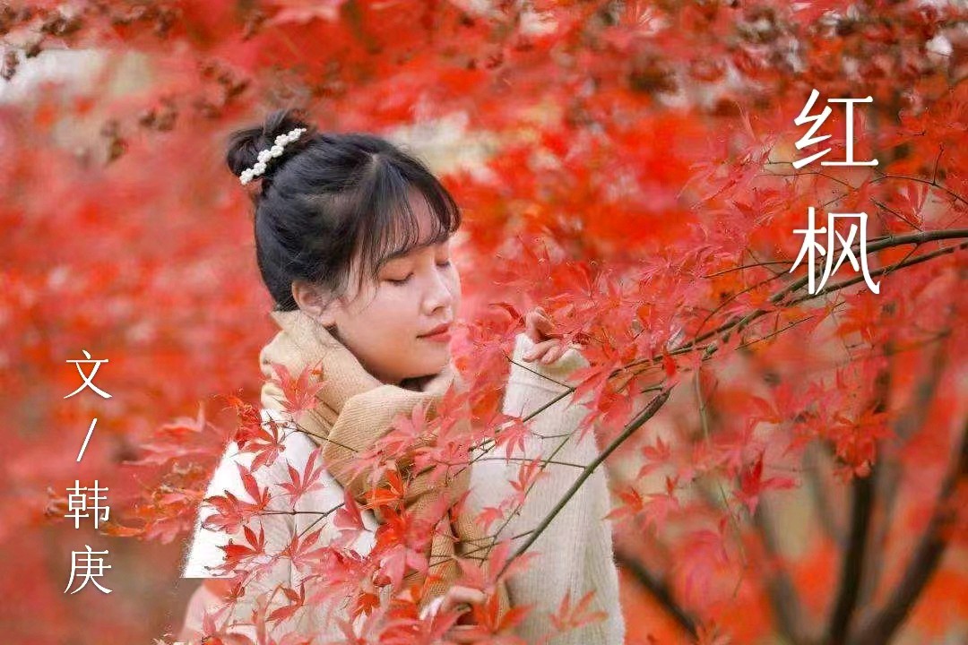 韩庚的《红枫》