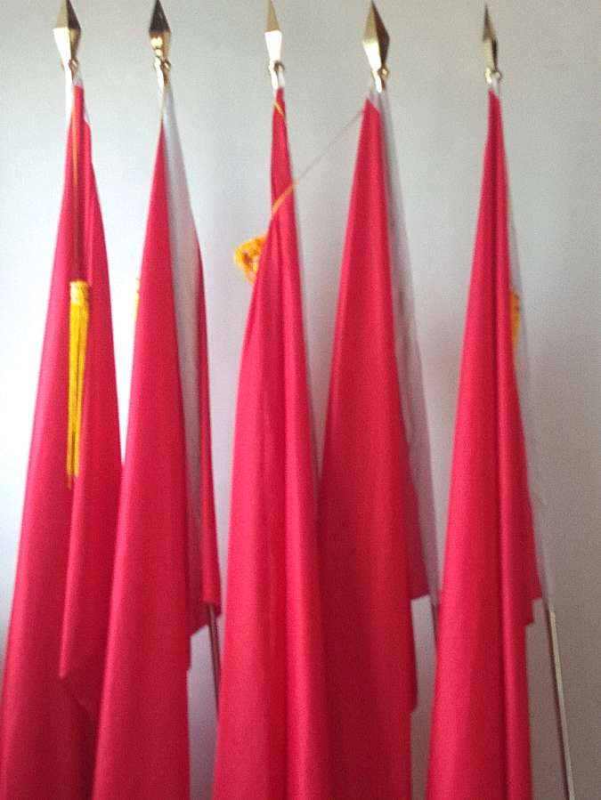 张晔出席宋家大院文化保护与社区发展论坛并题字（图9）